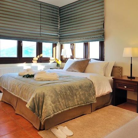 Guesthouse Kapaniaris ザゴラ 部屋 写真