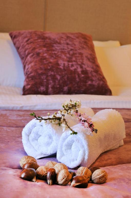 Guesthouse Kapaniaris ザゴラ エクステリア 写真