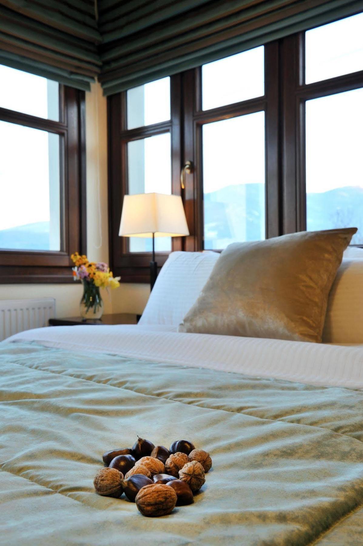 Guesthouse Kapaniaris ザゴラ エクステリア 写真